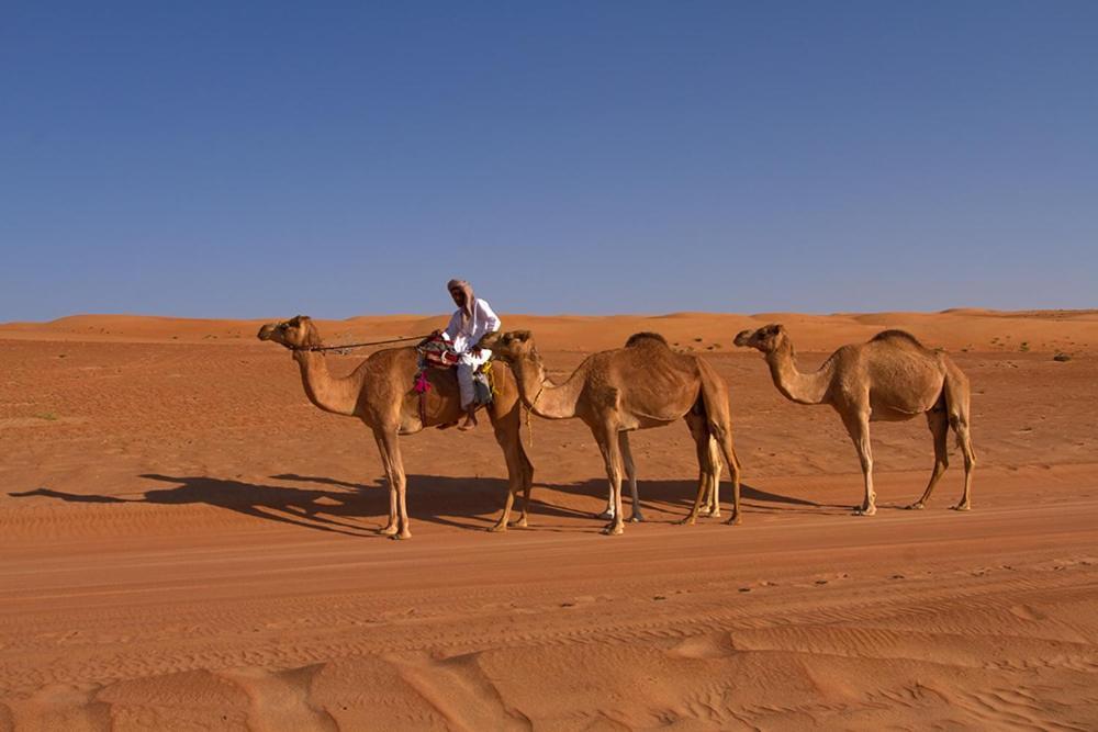 Desert Retreat Camp Al Wasil Luaran gambar